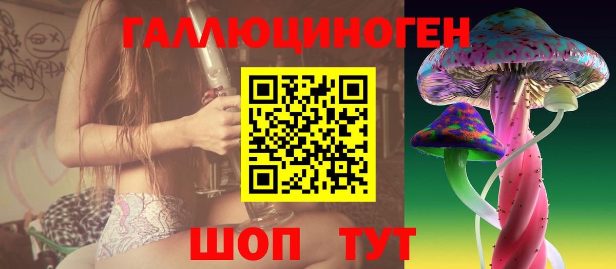 Галлюциногенные грибы Psilocybine cubensis  Вход с VPN  Гагарин 